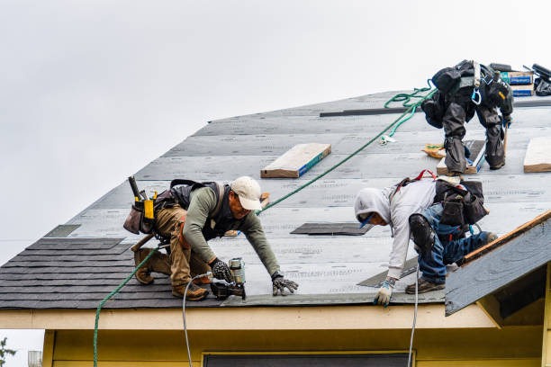 Professional Roof Replacement technician working in Mccloud, CA